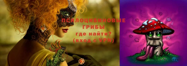 сатива Бронницы