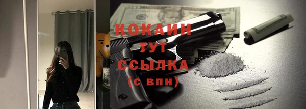 сатива Бронницы