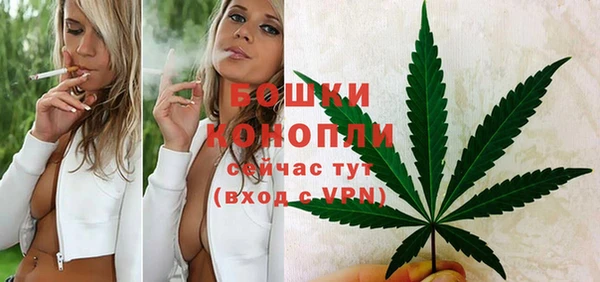 винт Бородино