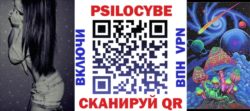 хочу Ковров Псилоцибиновые грибы Psilocybe